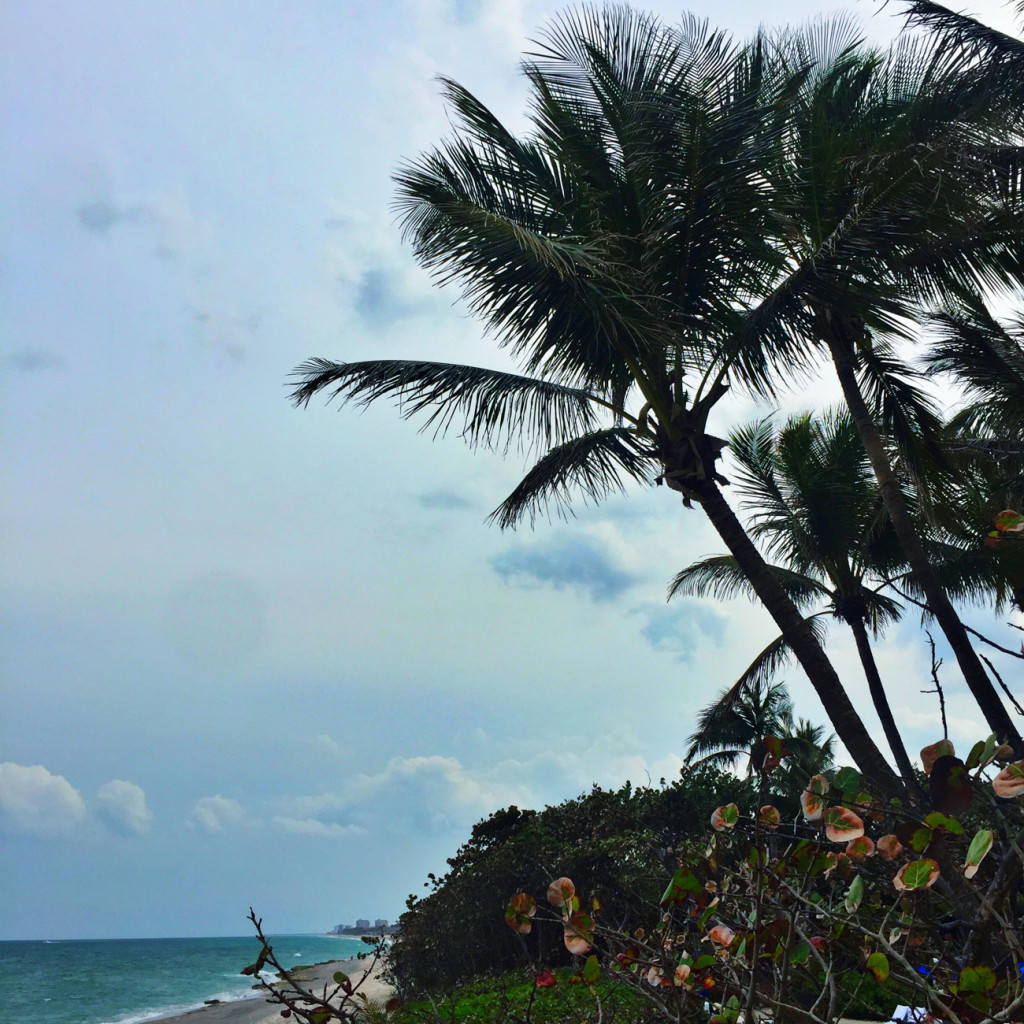 Jupiter Beach Resort and Spa Spring Training in SOuth Florida with the Florida Marlins and St Louis Cardinals-19