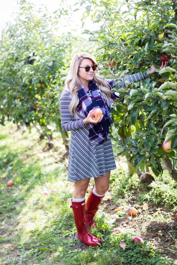 what to wear apple picking