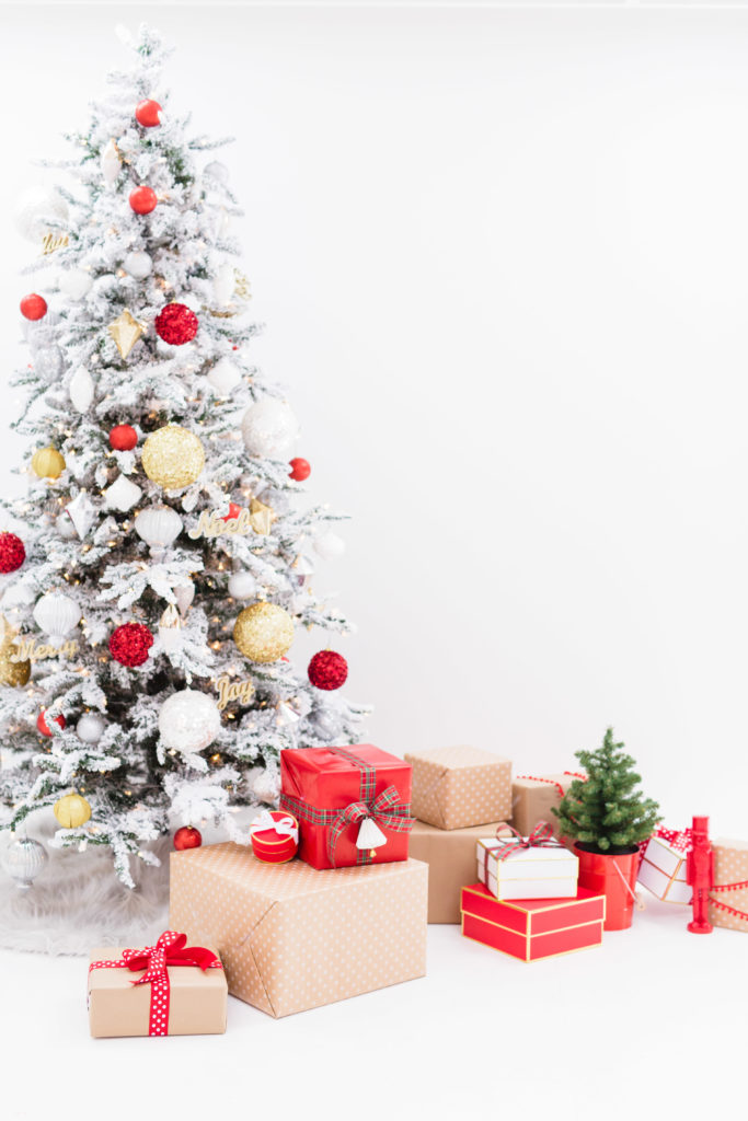 sarahdipity-photos-christmas-2016-065