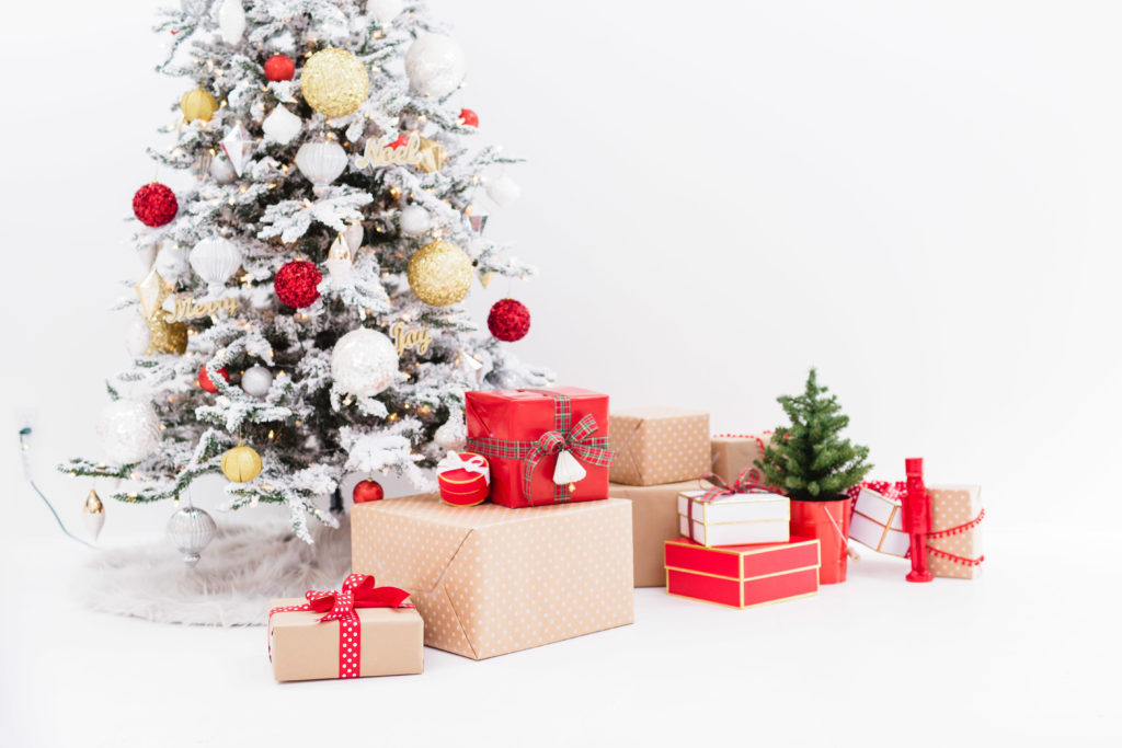 sarahdipity-photos-christmas-2016-066