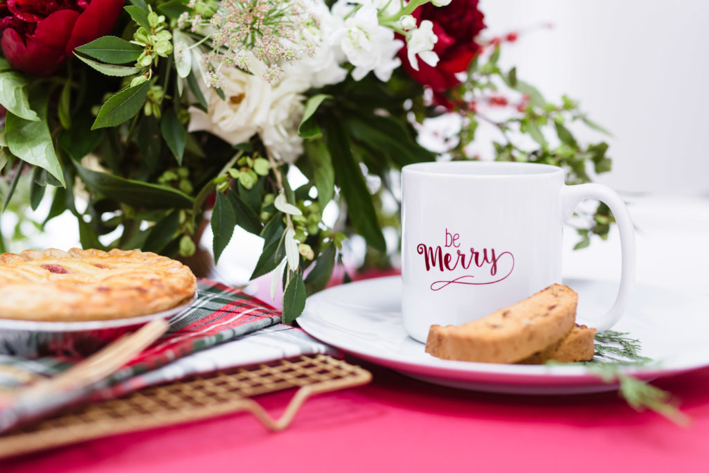 sarahdipity-photos-christmas-2016-193