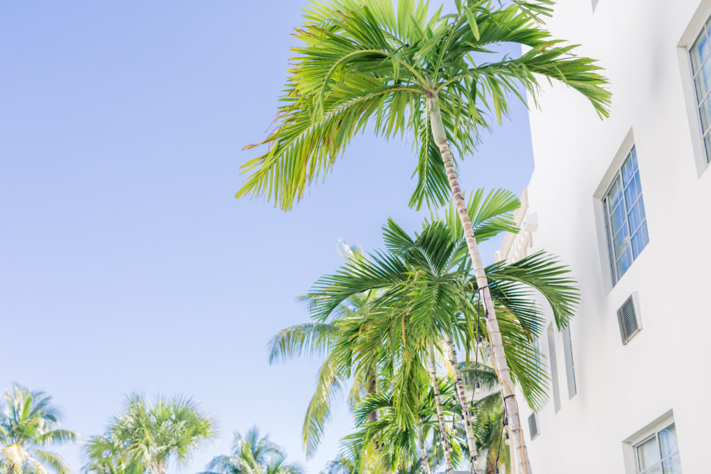 Sarahdipity Photos-34