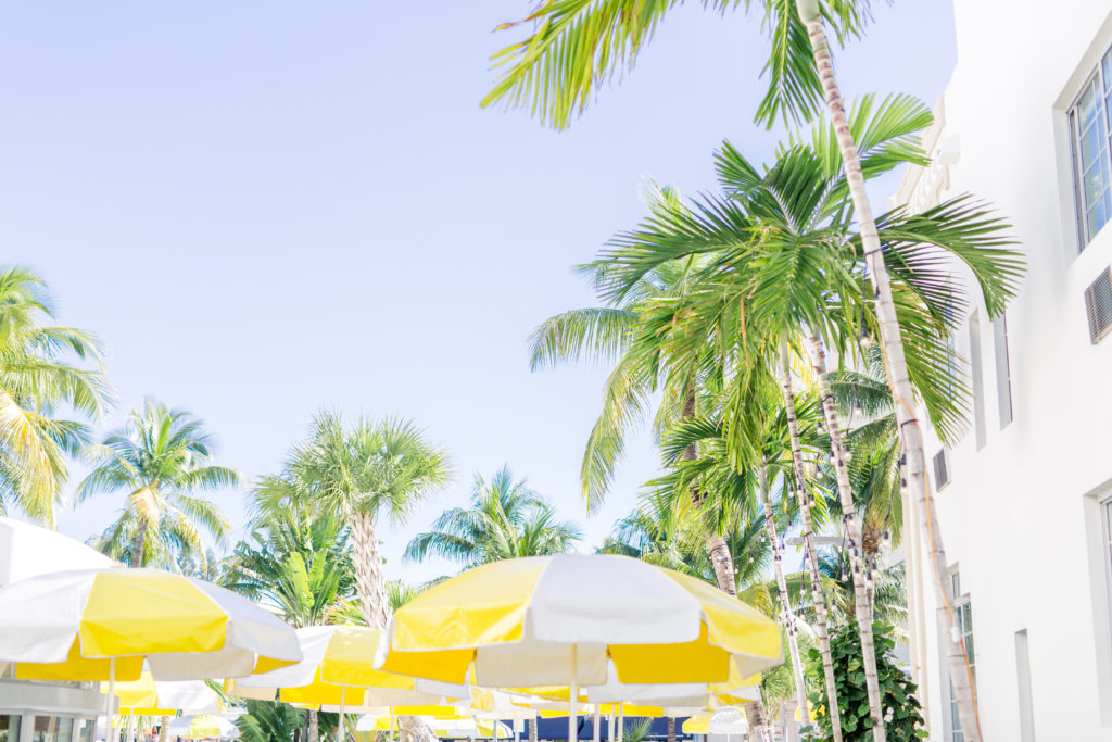 Sarahdipity Photos-35