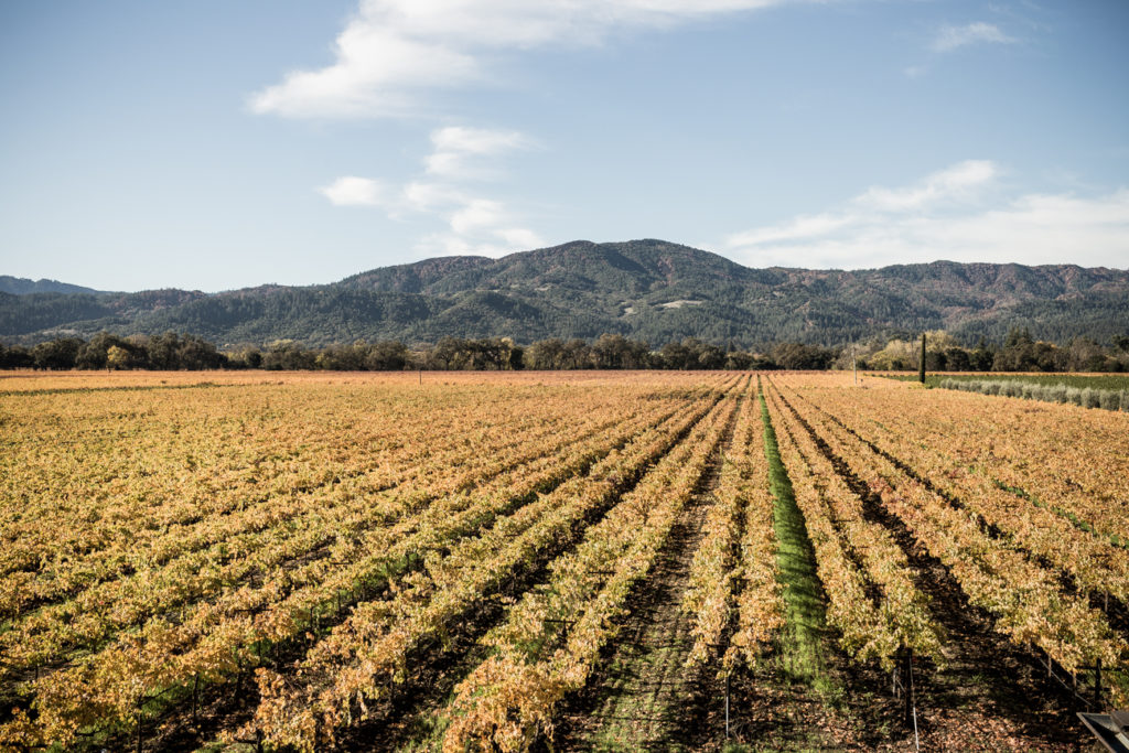 Milliken Creek Napa Valley-20