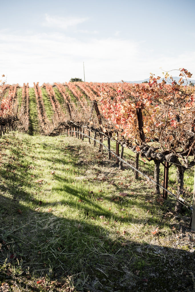 Milliken Creek Napa Valley-23